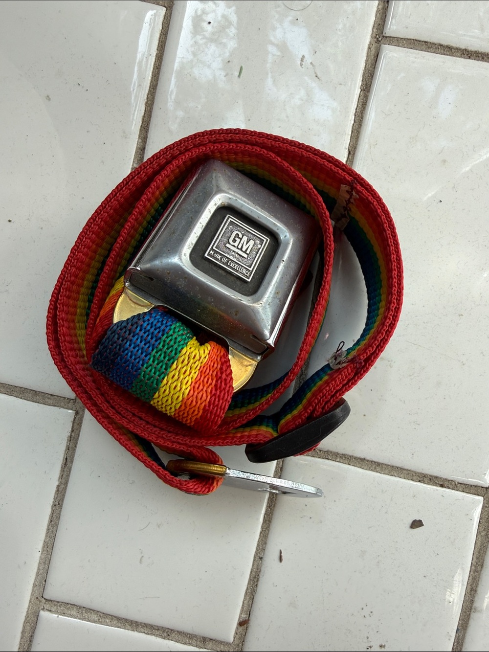Rainbow Webbing adjustable Belt in Red and Multicolor